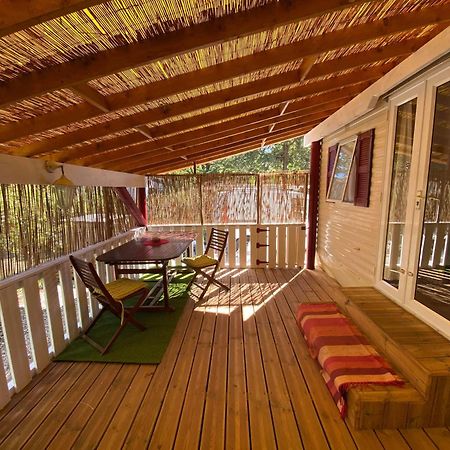 Mobil Home Au Camping Sellig Le Muy Ngoại thất bức ảnh